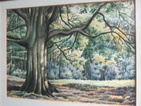 Image 8 of Vintage Watercolour Painting, Woodland Trees Landscape by F. T. Cambridge, Framed 