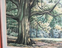 Image 7 of Vintage Watercolour Painting, Woodland Trees Landscape by F. T. Cambridge, Framed 