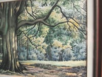 Image 11 of Vintage Watercolour Painting, Woodland Trees Landscape by F. T. Cambridge, Framed 