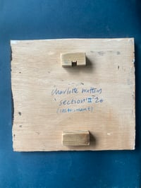 Image 2 of Section II ( Instrument) 