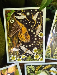 Image 2 of Autumn Nights Cardpack