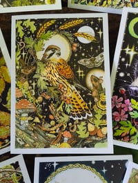 Image 3 of Autumn Nights Cardpack