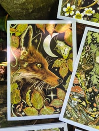 Image 4 of Autumn Nights Cardpack