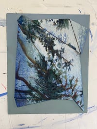 Image 2 of Water and Trees 