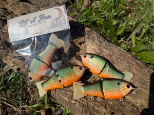 Image of LIL’ Ol’ Ann x Boogie Baits Custom