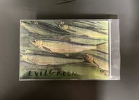 RAINFOREST SPIRITUAL ENSLAVEMENT | EVIL GREEN | 2X CASSETTE