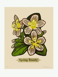 Spring Beauty