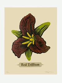 Red Trillium