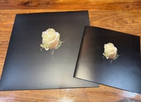 Image 5 of Slalom D - I Choose My Own Way To Burn Cream vinyl LP **PRE-ORDER**