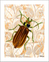 Buggin' Out (Mood Tone)