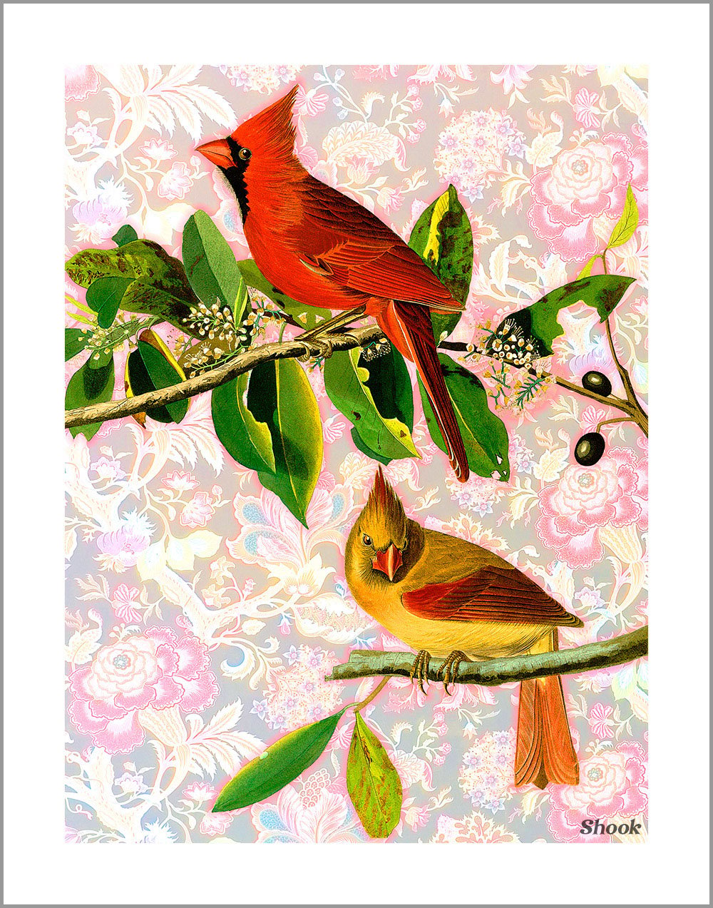 Cardinal Rule (Pop Tone)