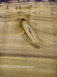 Image 1 of Cottonwood