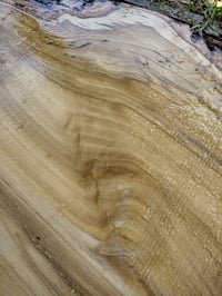 Image 2 of Cottonwood