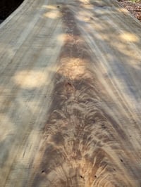 Image 4 of Cottonwood