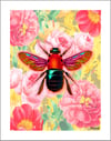 Le Buzz (Pop Tone)