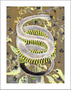 Union of the Snake (Mood Tone)