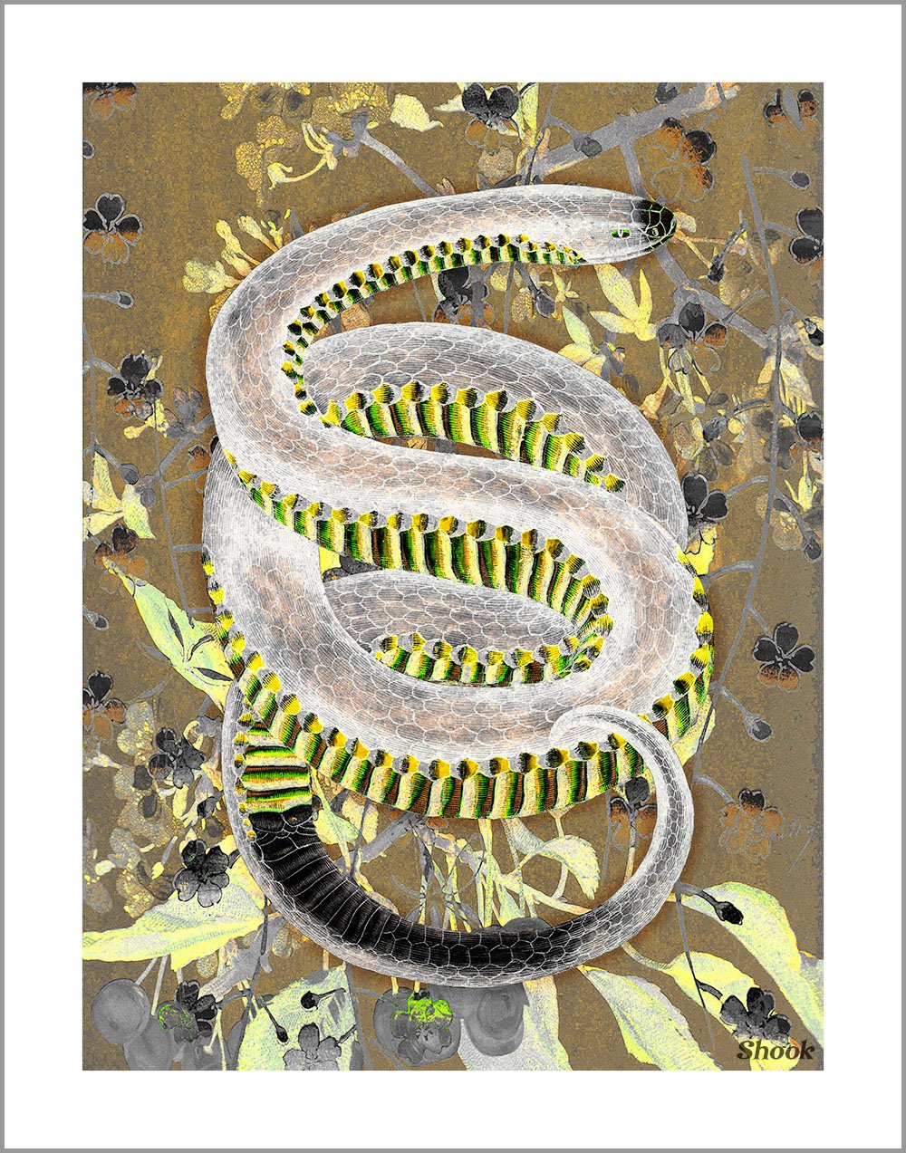 Union of the Snake (Mood Tone)