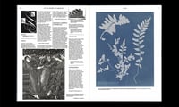 Image 3 of On the necessity of gardening - Laurie Cluitmans