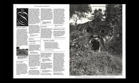 Image 2 of On the necessity of gardening - Laurie Cluitmans