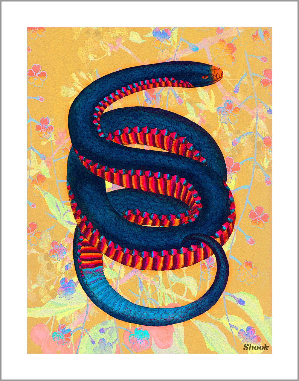 Union of the Snake (Pop Tone)
