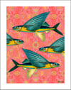 Flyin' Fish (Pop Tone)