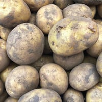 Organic Orla Potatoes
