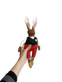Image 2 of Hans the Rabbit