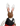 Hans the Rabbit