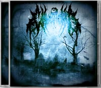 CHAOS IN ORDER - CRADLE TO THE GRAVE
