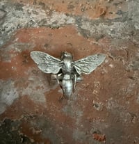 Image 1 of Buzz Off
