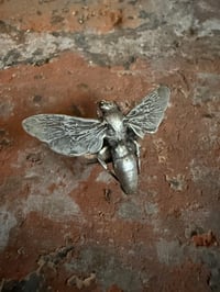 Image 3 of Buzz Off