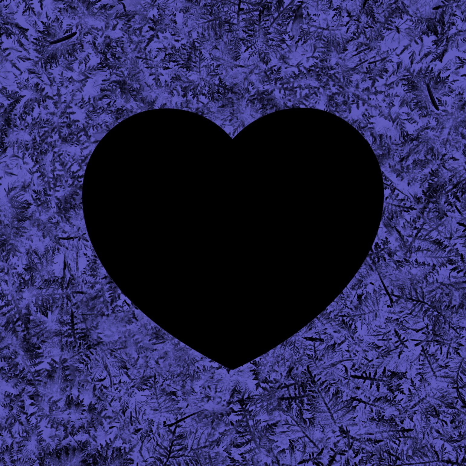 Image of I Love Paul