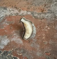 Image 1 of Banana for Scale