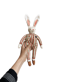 Image 2 of Buster the Rabbit