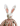 Buster the Rabbit