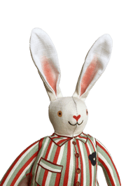 Image 1 of Buster the Rabbit