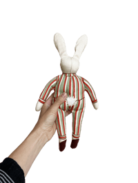 Image 3 of Buster the Rabbit