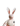 Doris the Rabbit