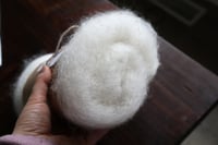 Image 2 of Amanita Mini Batt- Fall 2025