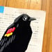 Image of Red Winged Blackbird / unframed original painting