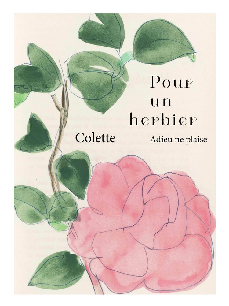 Image of HERBIER_C