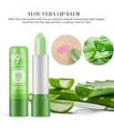 ALOE VERA LIPSTICK BALSAMO