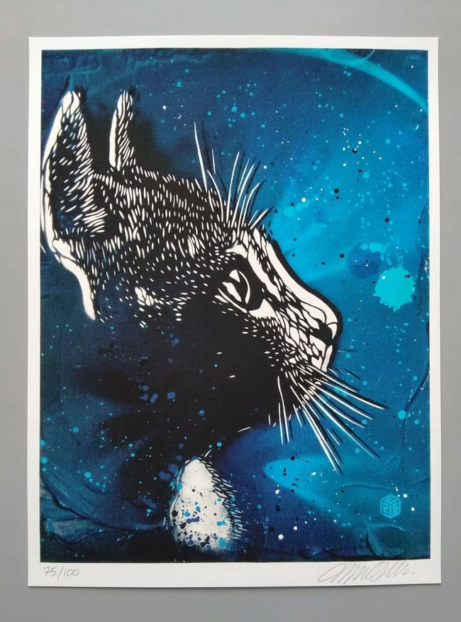 C215 Christian Guémy Mallow Chat Digigraphie