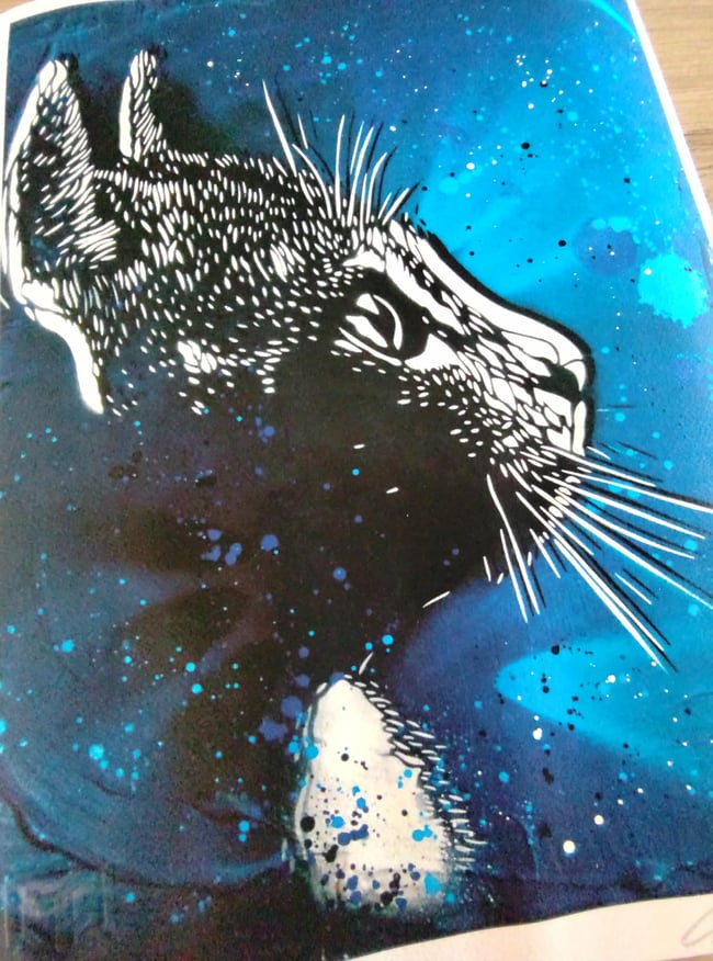C215 Christian Guémy Mallow Chat Digigraphie