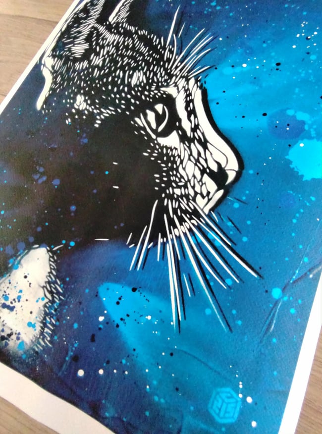 C215 Christian Guémy Mallow Chat Digigraphie
