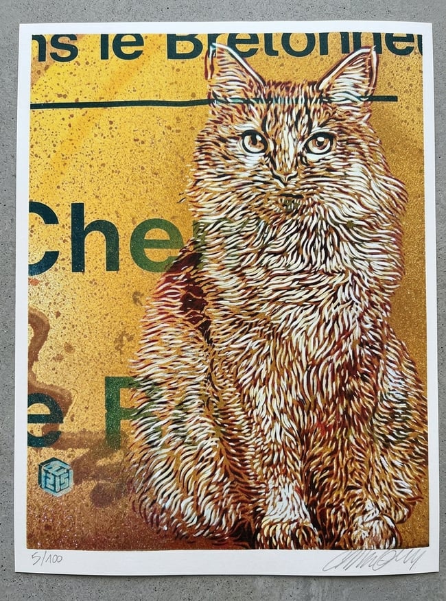 C215 Christian Guémy Minet Chat Digigraphie