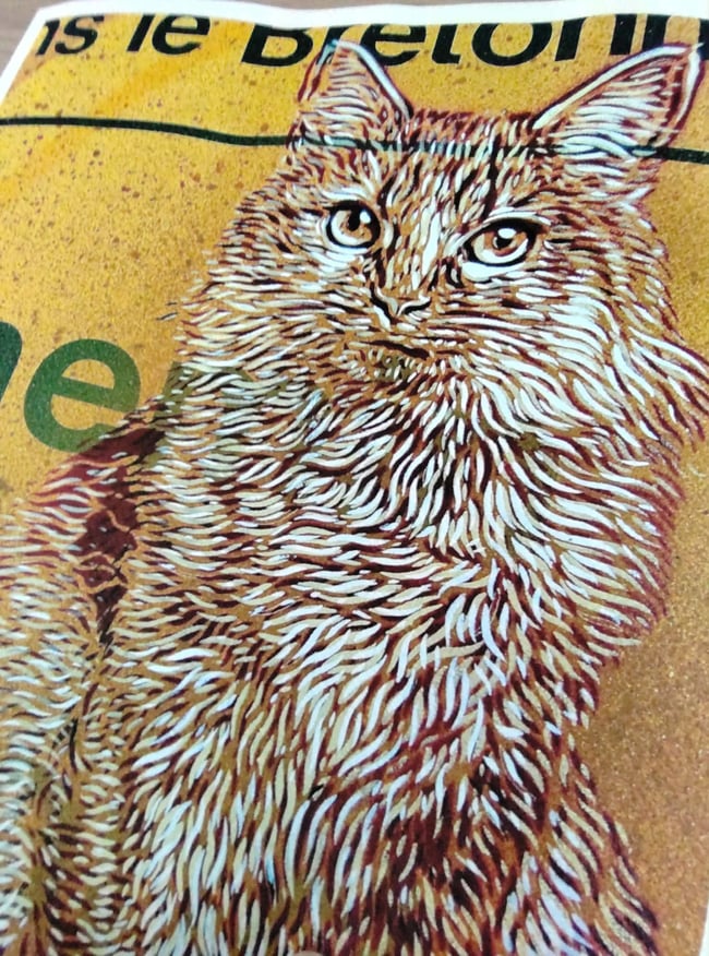 C215 Christian Guémy Minet Chat Digigraphie