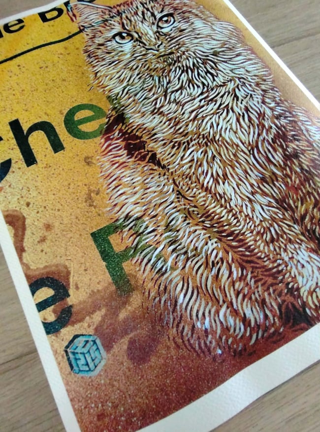 C215 Christian Guémy Minet Chat Digigraphie