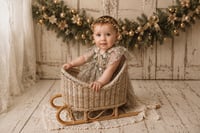 Image 1 of Winter sled rattan