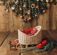 Image 3 of Winter sled rattan